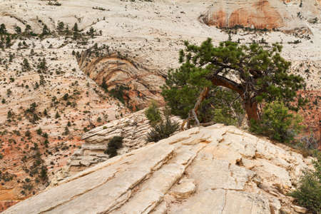 Summit of Angel's Landing, Zion National Park, Utah, USAの写真素材