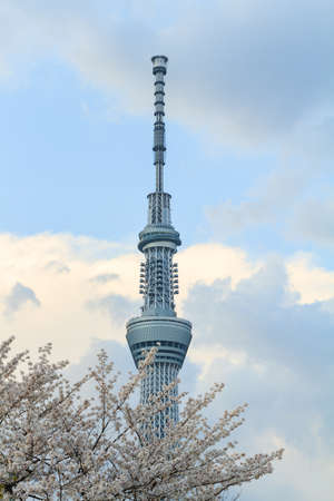 Tokyo, Japan, April 1, 2014: View of Tokyo Sky Tree on April 1, 2014, the highest free-standing structure in Japanのeditorial素材