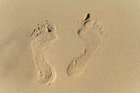 Footprints in the sand with copy space, Cancun, Mexicoの写真素材