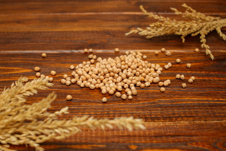 Dry chickpeas scattered on a wooden table background. Legumes Benefit Organic Fiber Diet. Fresh raw food for a snack.の写真素材