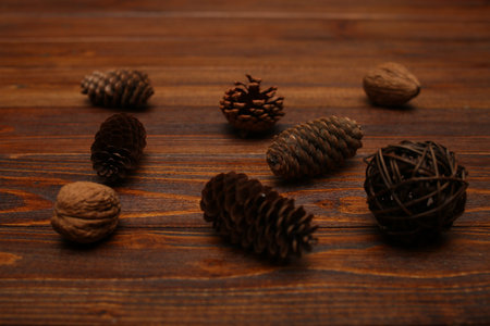walnut open and closed close-up on white background texture worm