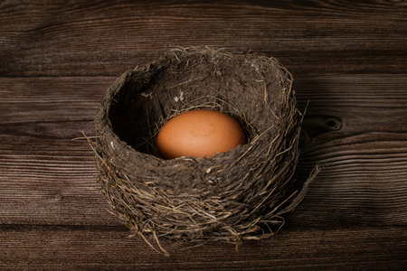 Real bird nest with egg isolated on wooden background.の写真素材