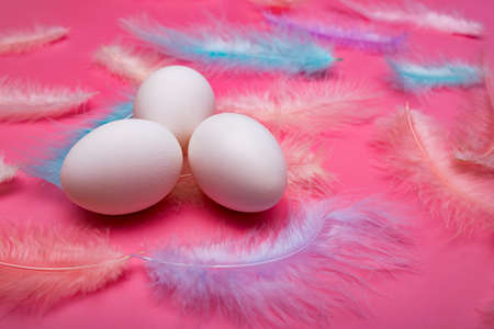 White Easter eggs and multicolored delicate feathers of a bird on a pink backgroundの写真素材