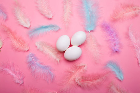 White chicken eggs on a pink background among blue and pink feathers
