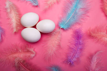 White Easter eggs and multicolored delicate feathers of a bird on a pink backgroundの写真素材