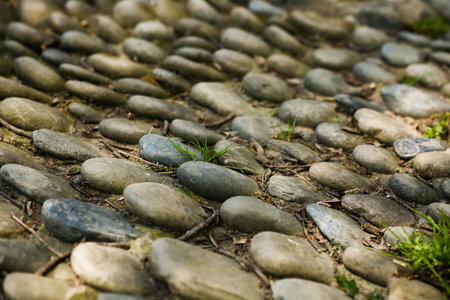 Reflexology massage area or a place provided by the advice for visitors to the lake park. Massage your feet by stepping on sharp stones. Selective focus side viewの写真素材