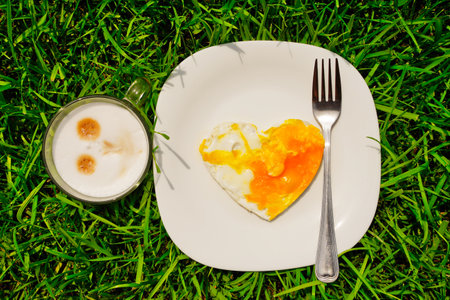 Breakfast on the grass, good morning, Valentines day, summer and spring time. Holidays and rest, fried eggs in the shape of a heart.の写真素材