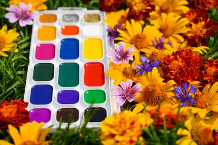 Opened watercolor paints on a background of green grass and flowers yellow, red on the grass. Drawing learning conceptの写真素材