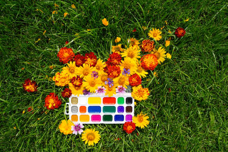 Opened watercolor paints on a background of green grass and flowers yellow, red on the grass. Drawing learning conceptの写真素材