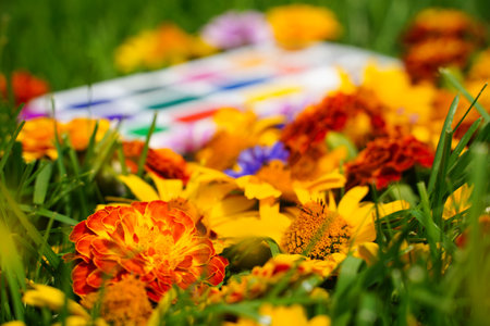 Selective focus on red and yellow flowers, blurred opened watercolor paints on a background of green grass and flowers yellow, red on the grass. Drawing learning conceptの写真素材