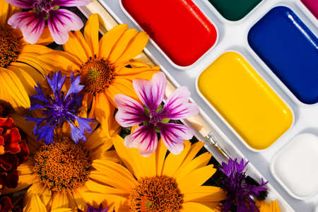 Multi-colored paints for drawing and flowers, the colors of nature.の写真素材
