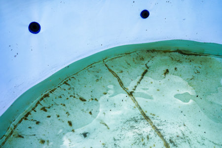 The pool water is dirty with falling debris and rotten.