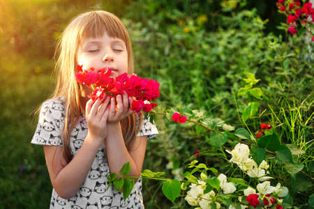 Little girl smelling colorful flowers at summer day in the yardの写真素材