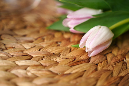Bouquet of spring pink tulips on a wicker background selective focus. Easter spring background with...