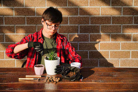 The young gardener transplants flowers into a new pot. Soil and drainage, planting tool. Hobby is home gardeningの写真素材