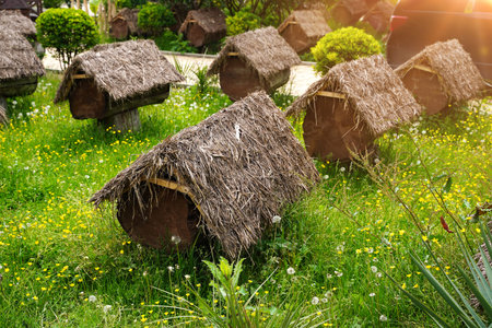 Unusual wooden hives of bees in the apiary