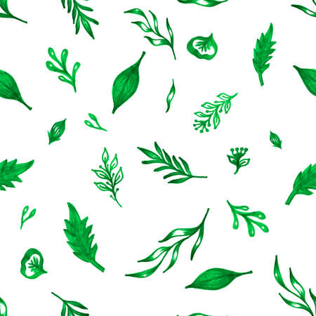Set of branches with leaves on a white background. Floral seamless pattern with elements leaves, branches, hearts. Botanical illustrations. Green twigsの写真素材