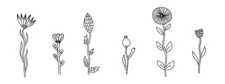 Set of doodle sketch hand draw poppy and fantasy flowers vectorのイラスト素材