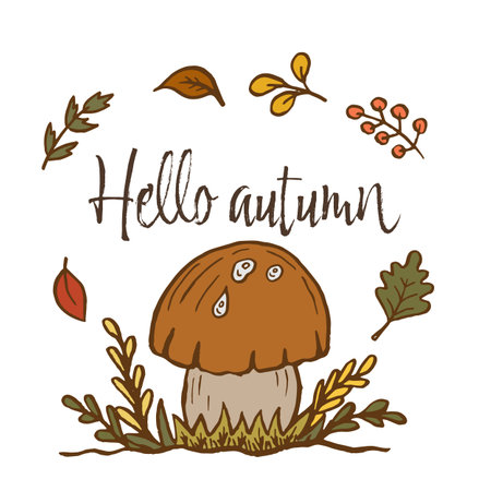 Hello autumn hand lettering phrase on leaf and mushroom backgroundのイラスト素材