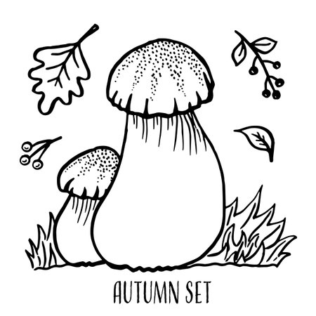 Hello Autumn. Autumn harvest symbols. Set of autumn elements leaves, berries and mushroom. Hand drawn, sketch. Vector illustration in doodle style.のイラスト素材