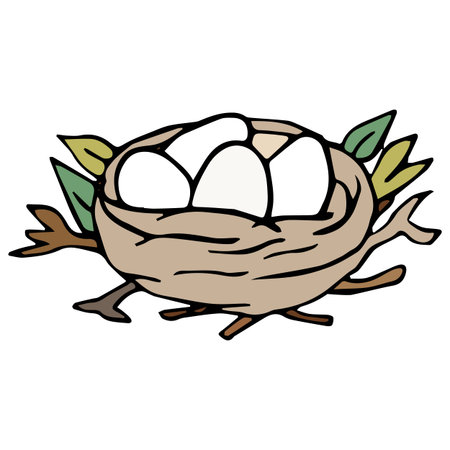Vector illustration of bird nest isolated on white background.のイラスト素材