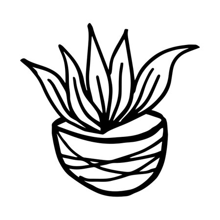 Vector hand drawn potted plants flower vectorのイラスト素材