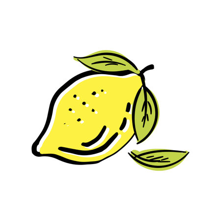 Lemon doodle illustration in vector. Hand drawn.のイラスト素材