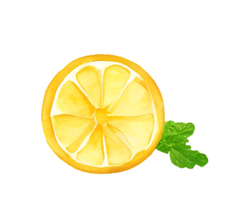 slice of lemon and mint leaf, watercolor vector illustrationのイラスト素材