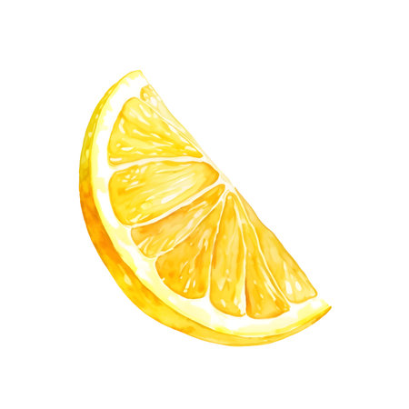 Hand drawn watercolor painting slice of lemon. Citrus fruit. Organic and tasty food. Healthy nutrition. Vector design for product label or packing sweetsのイラスト素材
