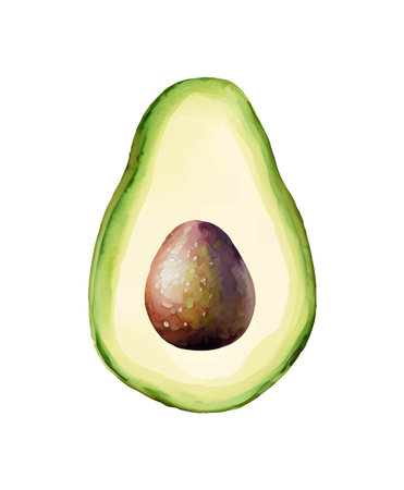Digital Watercolor vector hand drawn illustration with fresh green avocado on the white backgroundのイラスト素材