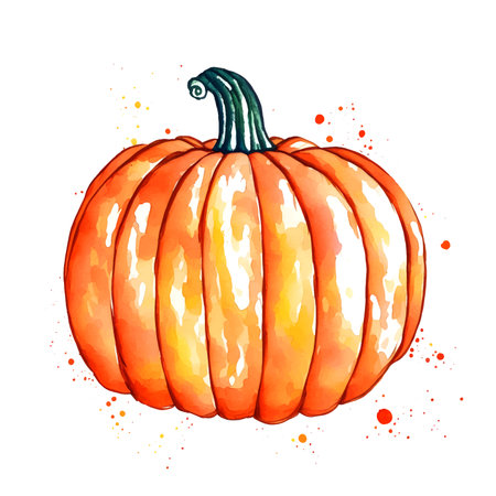 watercolor orange pumpkin isolated on white background, vectorのイラスト素材