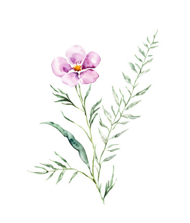 Watercolor pink wildflower delicate wild flower isolated on white, vectorのイラスト素材