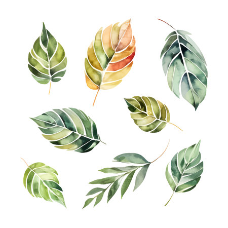 Watercolor set of green and yellow leaves isolated on whiteのイラスト素材