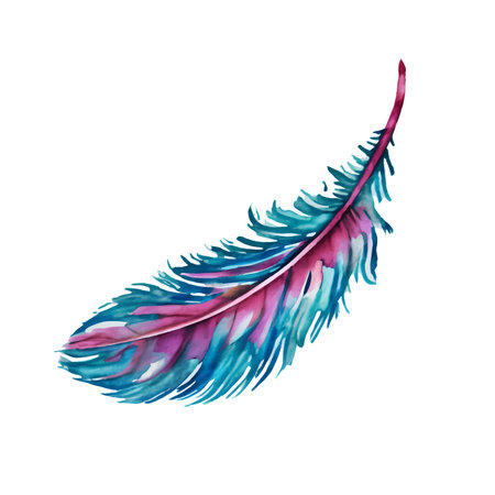 Vector Watercolor Colourful feather isolated on white backgroundのイラスト素材