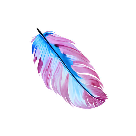 Vector Watercolor Colourful feather isolated on white backgroundのイラスト素材