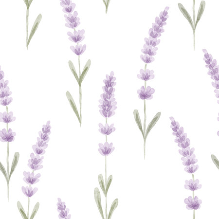 Watercolor lavender flowers seamless pattern, floral botanical spring backgroundのイラスト素材