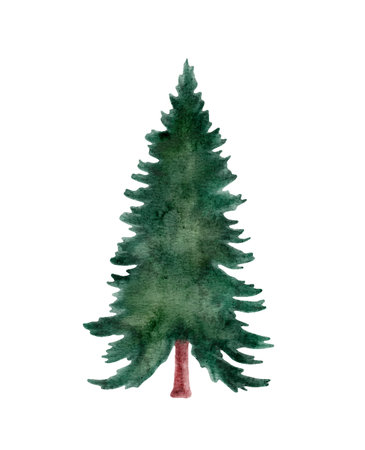 Watercolor green Christmas tree on white background. Fir tree watercolor vectorのイラスト素材