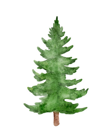 Watercolor green Christmas tree cut out from white background. Fir tree watercolor vectorのイラスト素材
