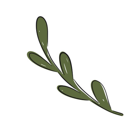 Hand drawn green branch with leaves on a white background showing simplicity and elegance vector illustrationのイラスト素材