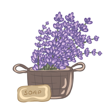 Hand drawn lavender bouquet in a basket with a soap barのイラスト素材