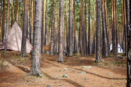 Tourist tent in the fog in the forest. Camping in spring and pineの写真素材