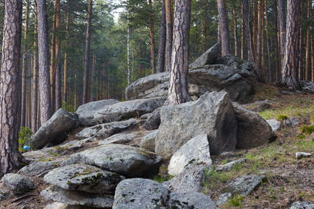 Large stone boulders in the forest. Spring forest in the Urals with huge stonesの写真素材