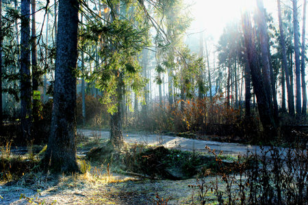 A Ray of Autumn sunshine