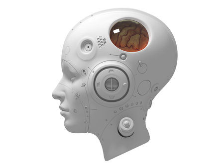 artificial intelligence. female robot head 3d render
