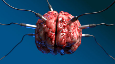 artificial intelligence. image of the brain with different dachiks connected to it transmitting or...