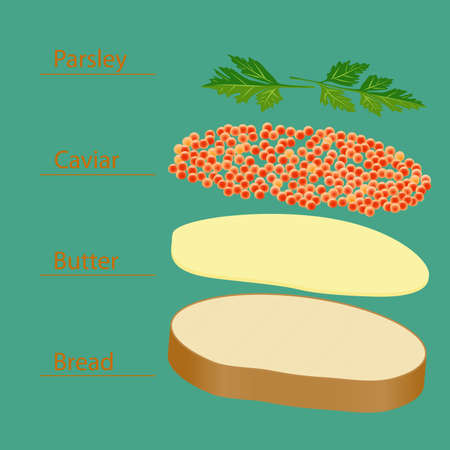 Sandwich with caviar. Series food. Delicious foodsのイラスト素材