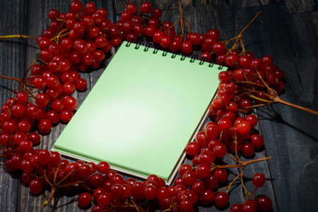 viburnum on wooden boards and a notebook in the middleの写真素材