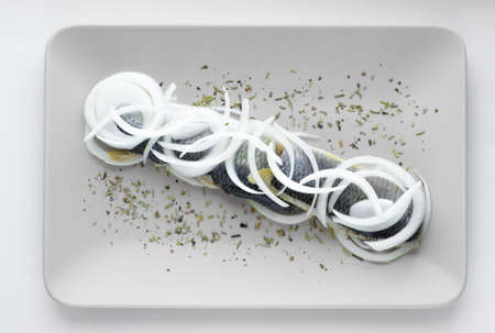 Fillet of herring on the plate with rings of onionの写真素材