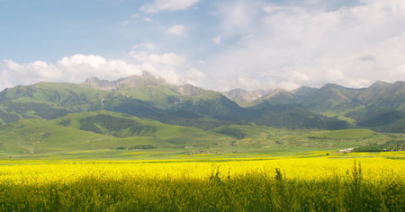 Fields at the base of Terskey Alatau Mt Range South of Issyk Kul lake Kyrgyzstan