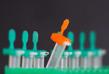 Eppendorf tubes in the rackの写真素材